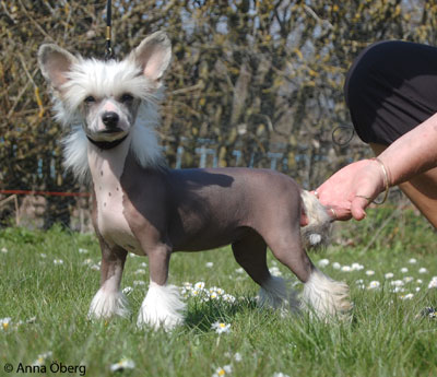 Bella 4 mån